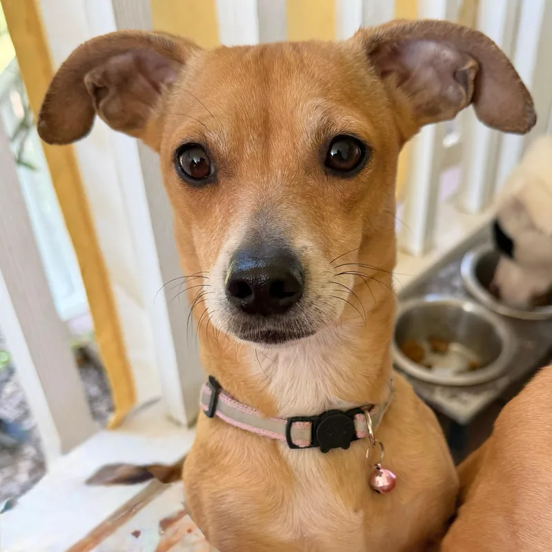 Charlotte thumbnail 2