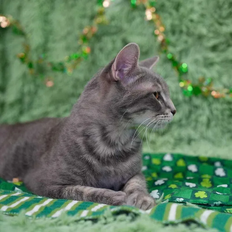 Laquinta thumbnail 2