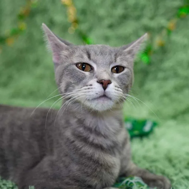 Laquinta thumbnail 3