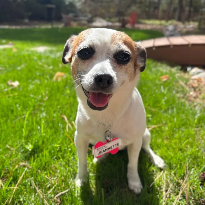 Jeannette thumbnail 3