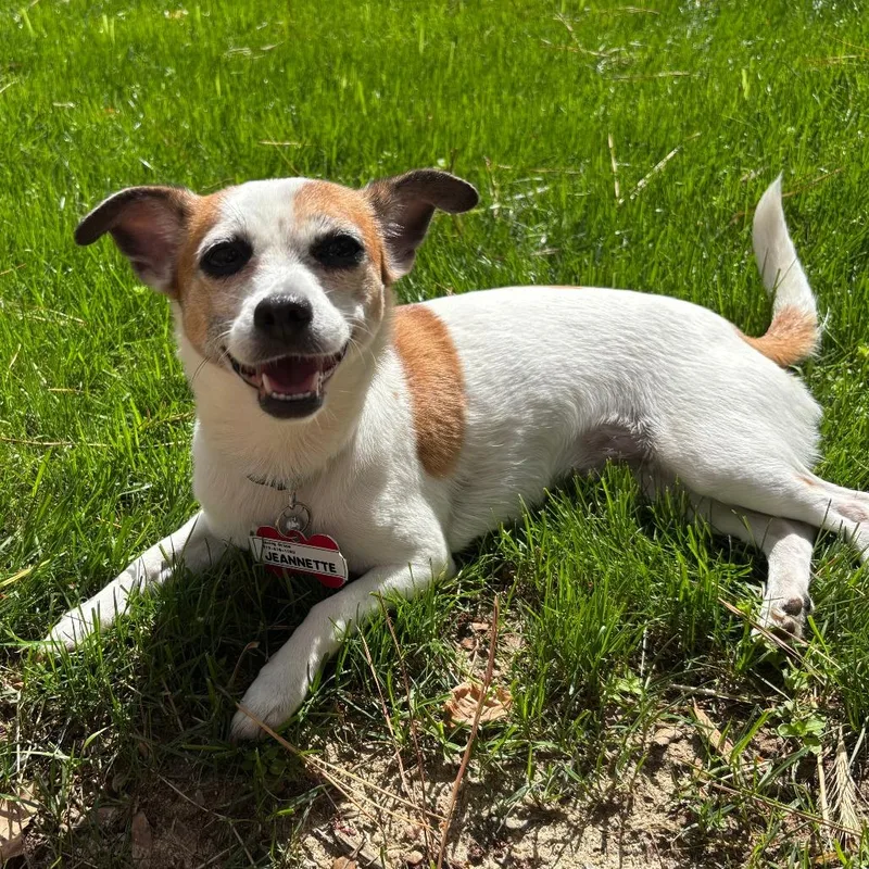 Jeannette thumbnail 4