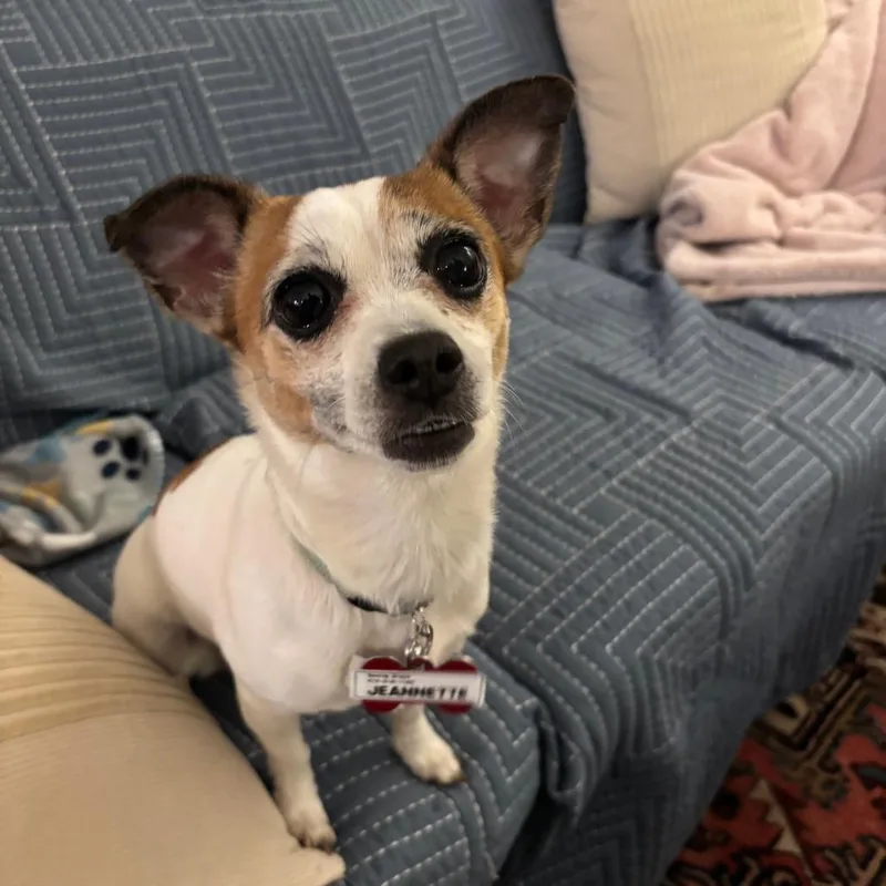 Jeannette thumbnail 5