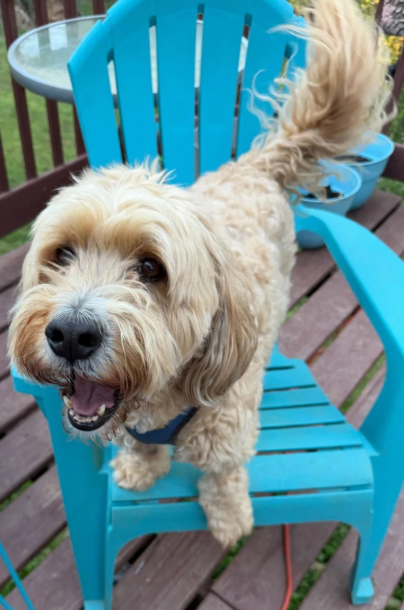 Lucy Mar thumbnail 2