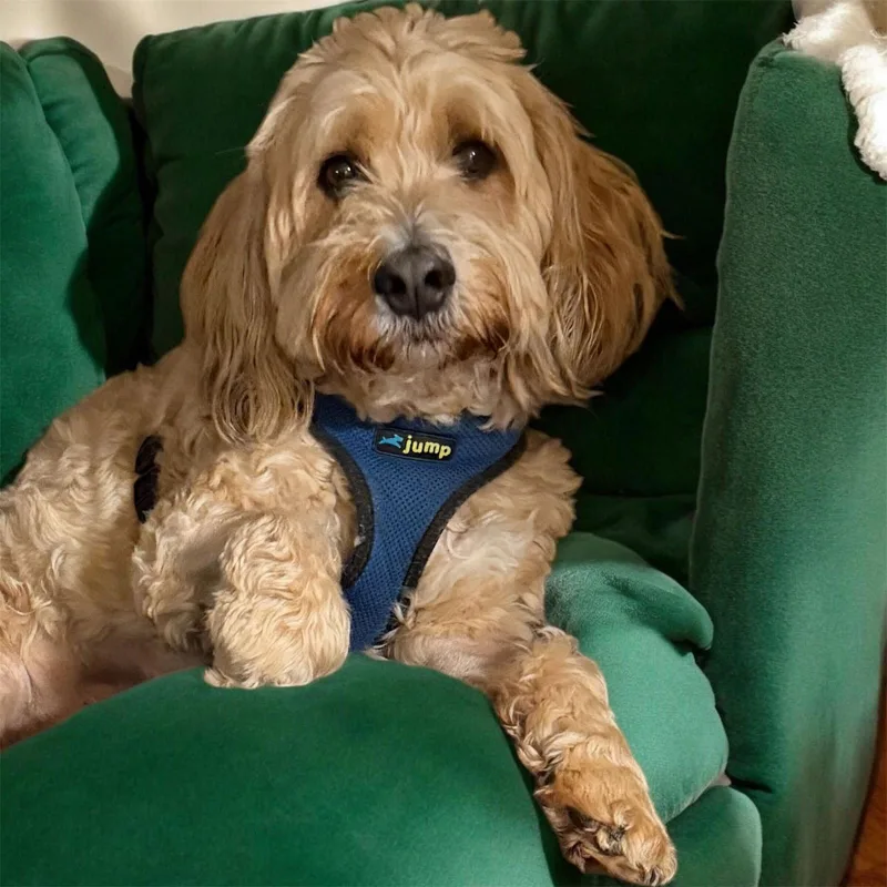 Lucy Mar thumbnail 3