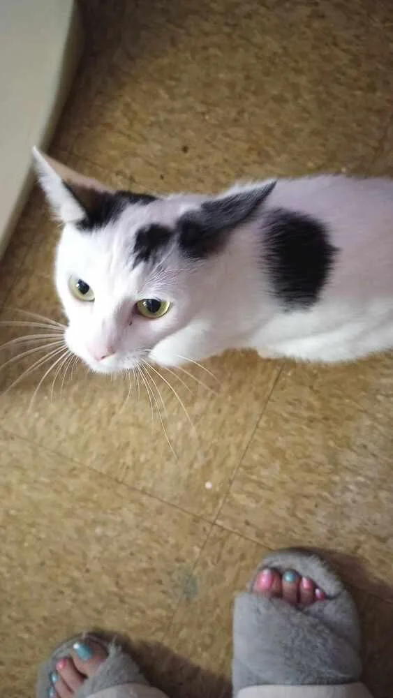 Sandra Dee thumbnail 3