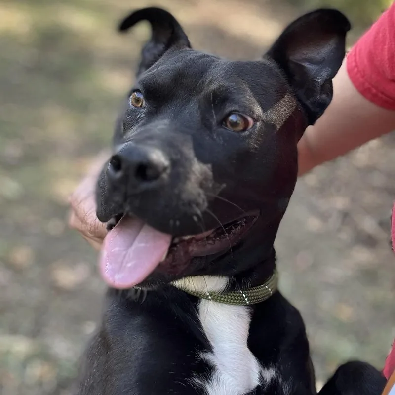 Galadriel thumbnail 2