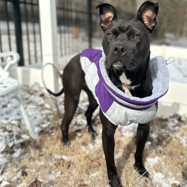 Galadriel thumbnail 3