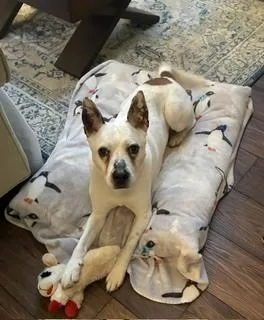 Duncan