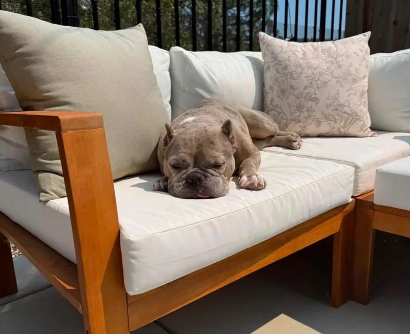 Polyester thumbnail 2