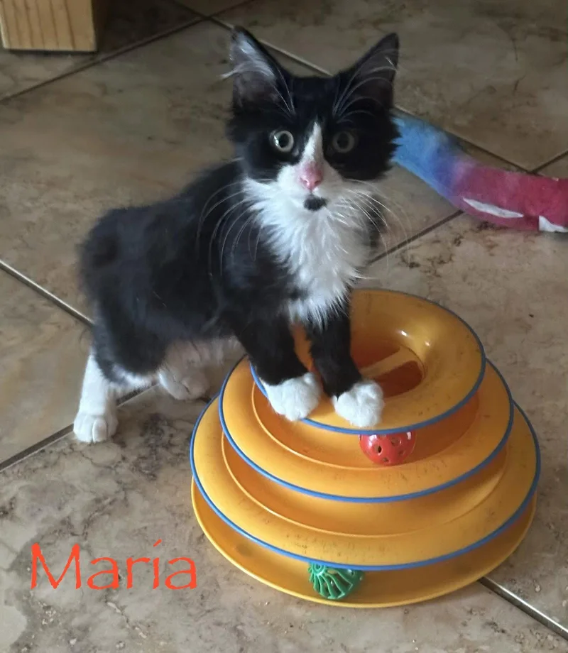 Maria thumbnail 2