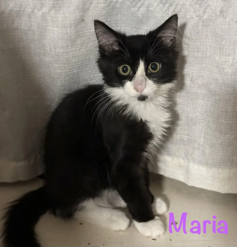 Maria thumbnail 3
