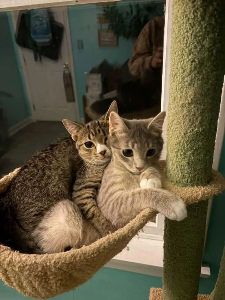 Minky & Winky thumbnail 5