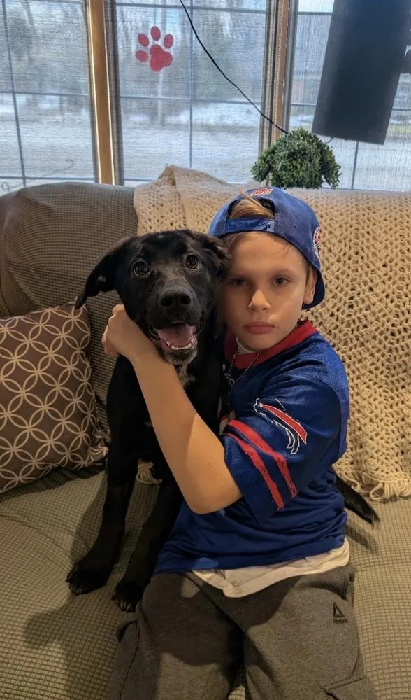 Bellatrix thumbnail 2