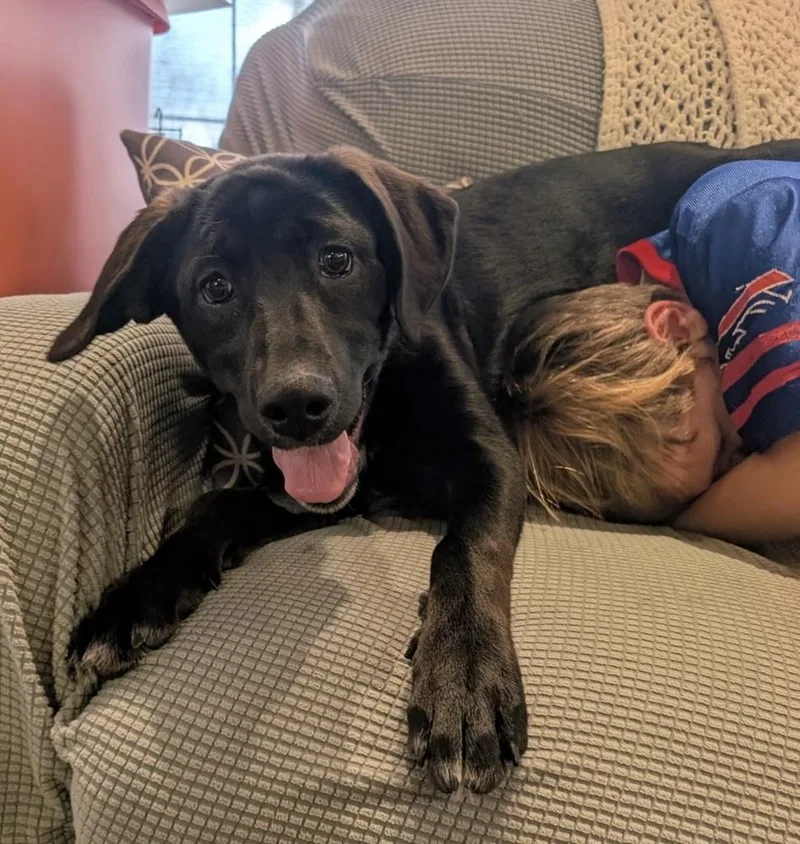 Bellatrix thumbnail 3