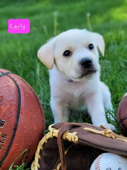 Carly thumbnail 2