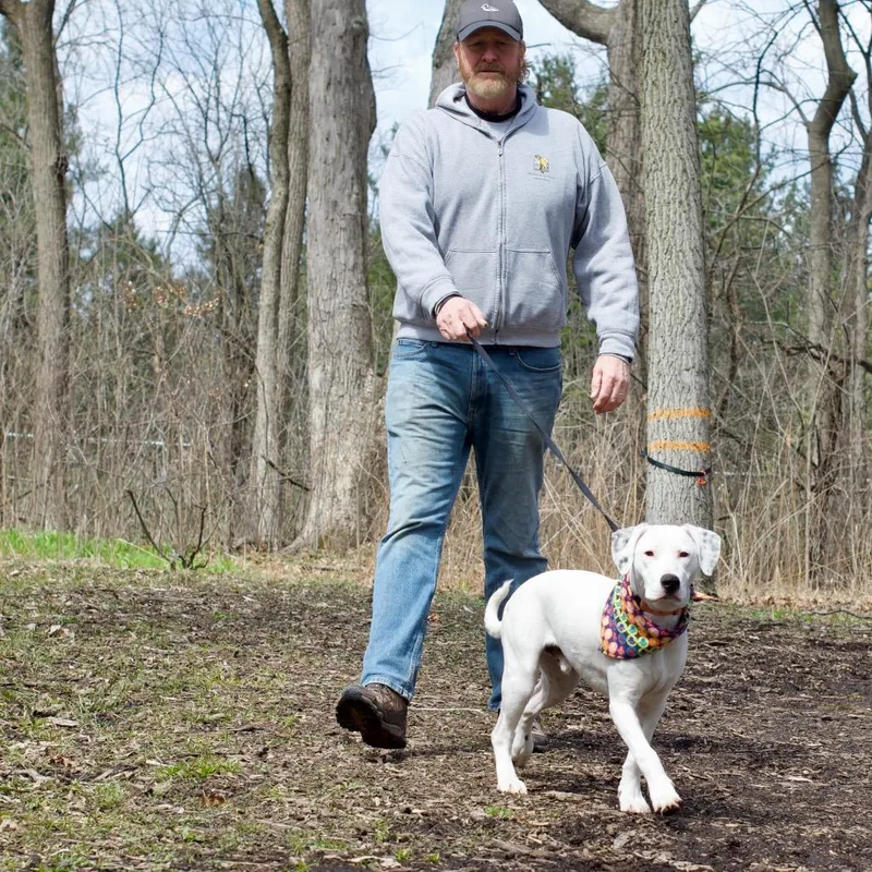 A young medium-sized male White / Cream Mixed Breed dog named Dr. Pepper for adoption in Deerfield, IL