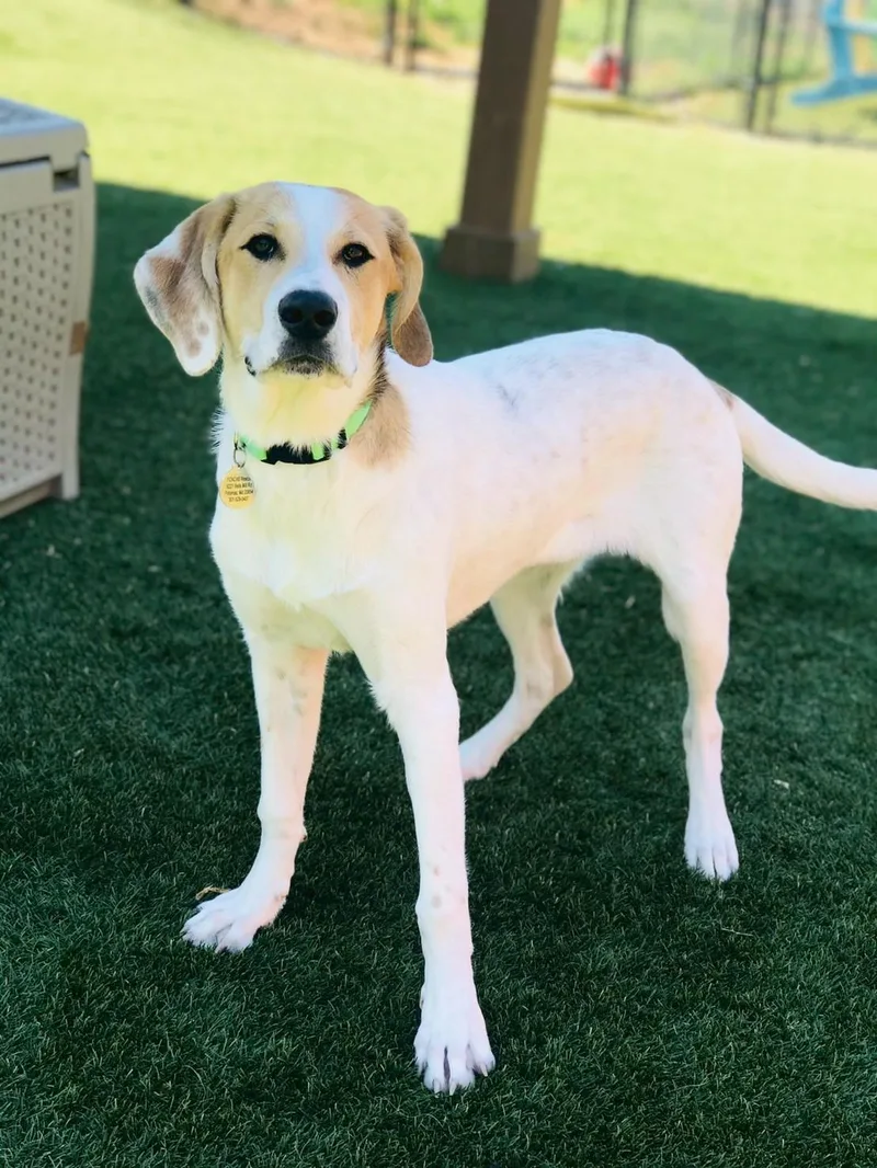 Montana Sue thumbnail 2