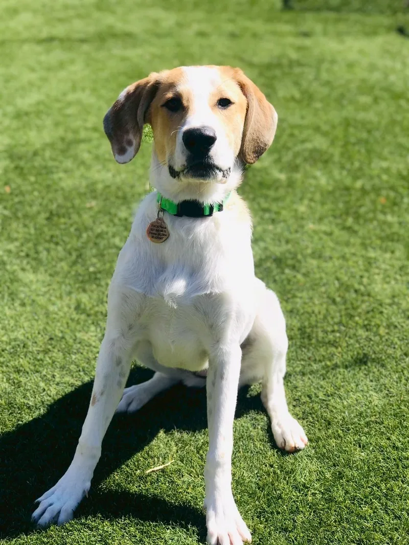 Montana Sue thumbnail 3