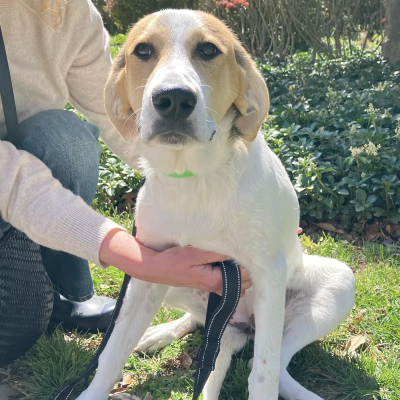 Montana Sue thumbnail 4