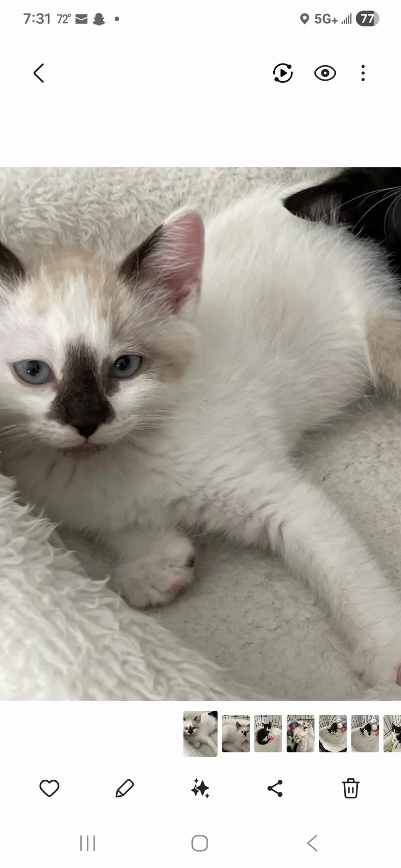 Kylar Ort thumbnail 2