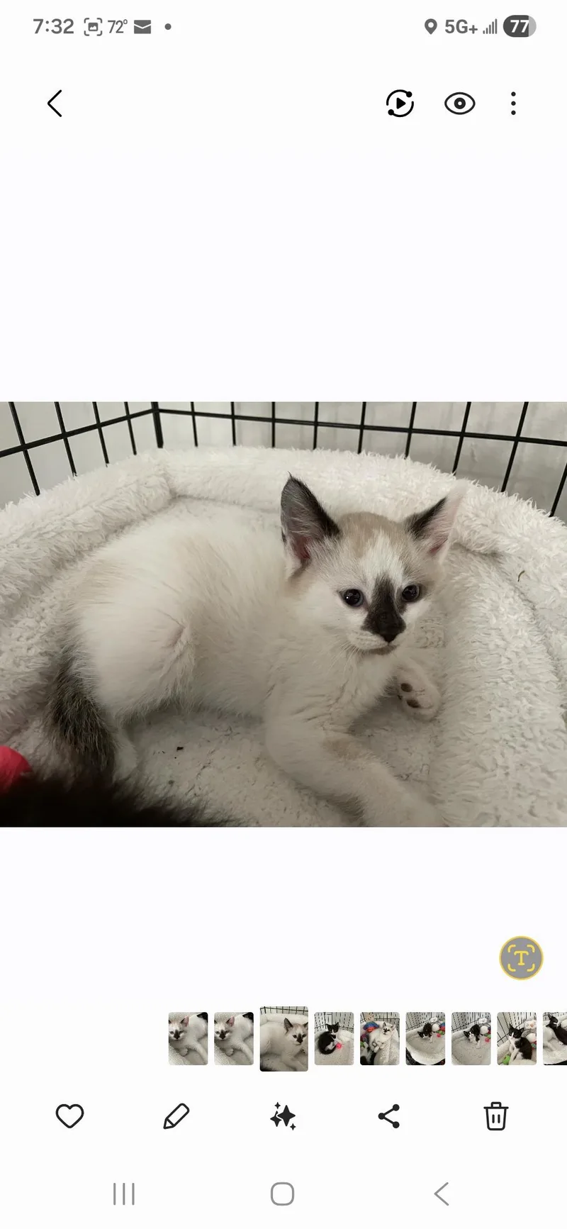 Kylar Ort thumbnail 3