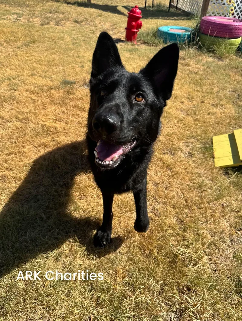Loki thumbnail 2