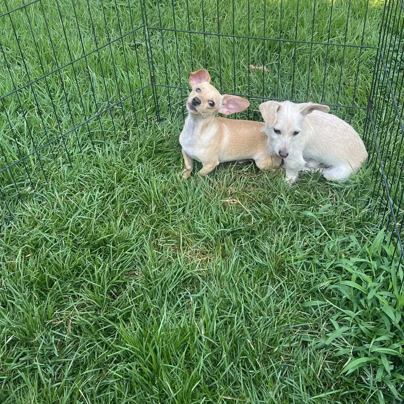 Billy & Bob