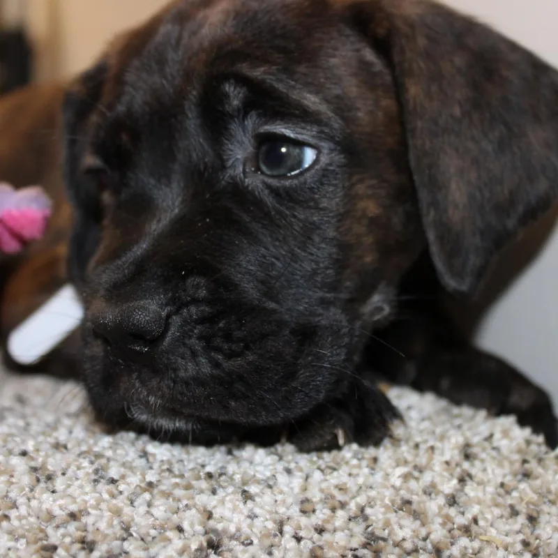 Winnie thumbnail 4