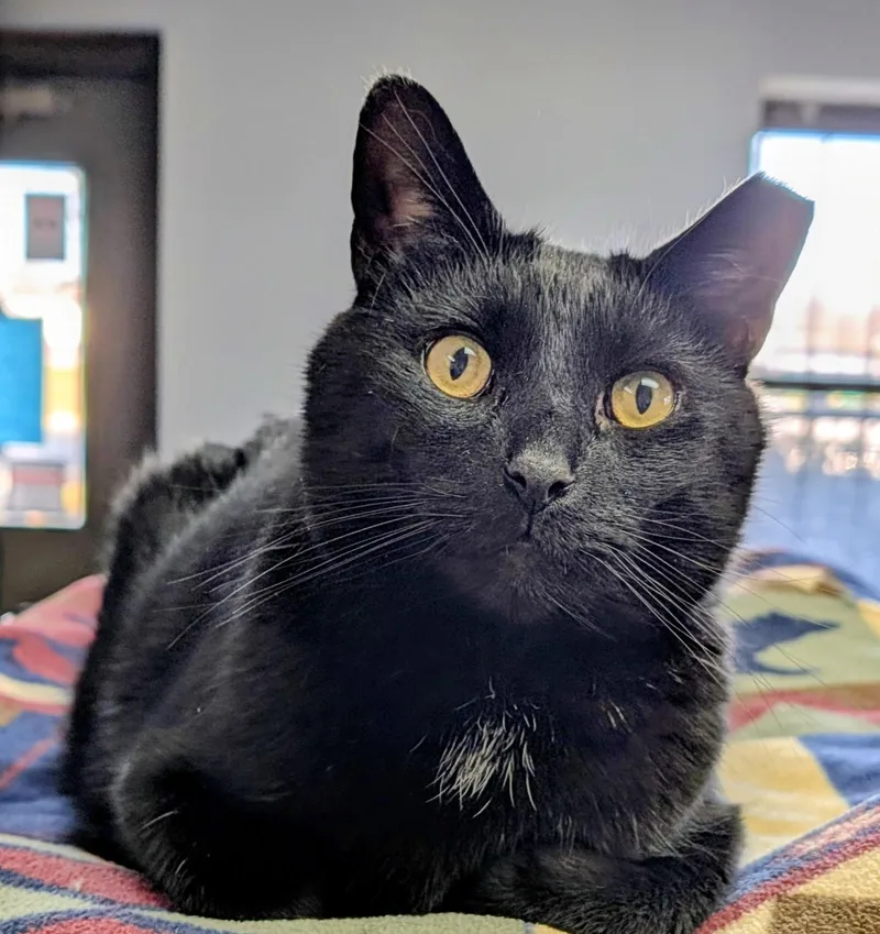 John Luther thumbnail 2