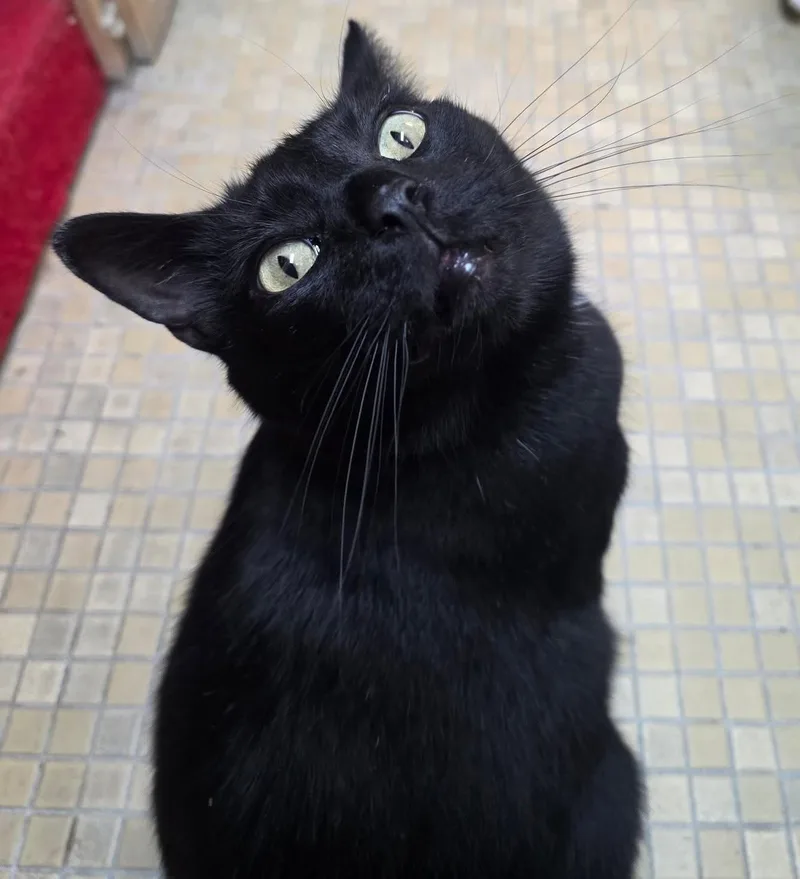 John Luther thumbnail 3