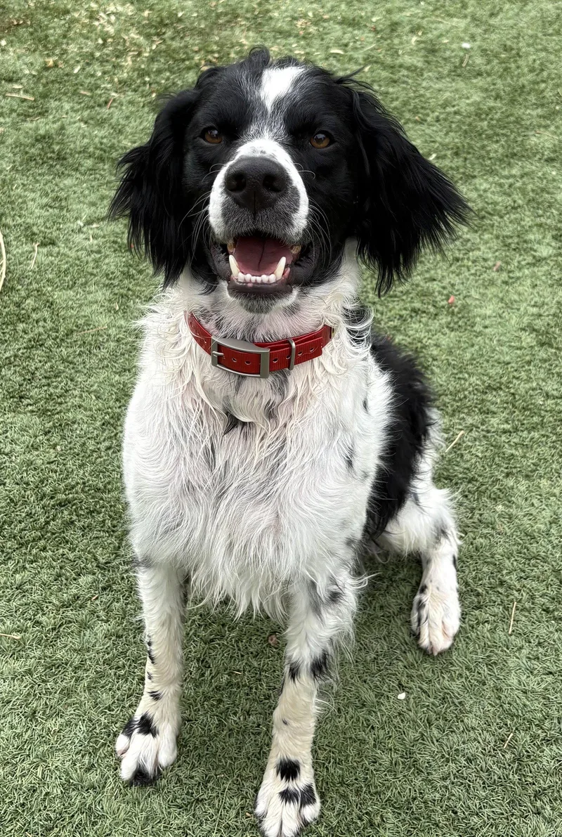 Coozzie Jones thumbnail 2