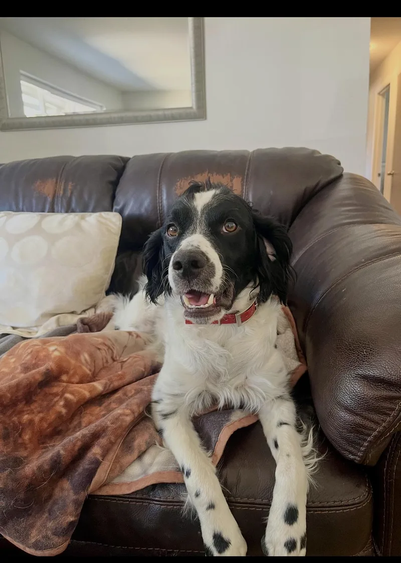 Coozzie Jones thumbnail 3