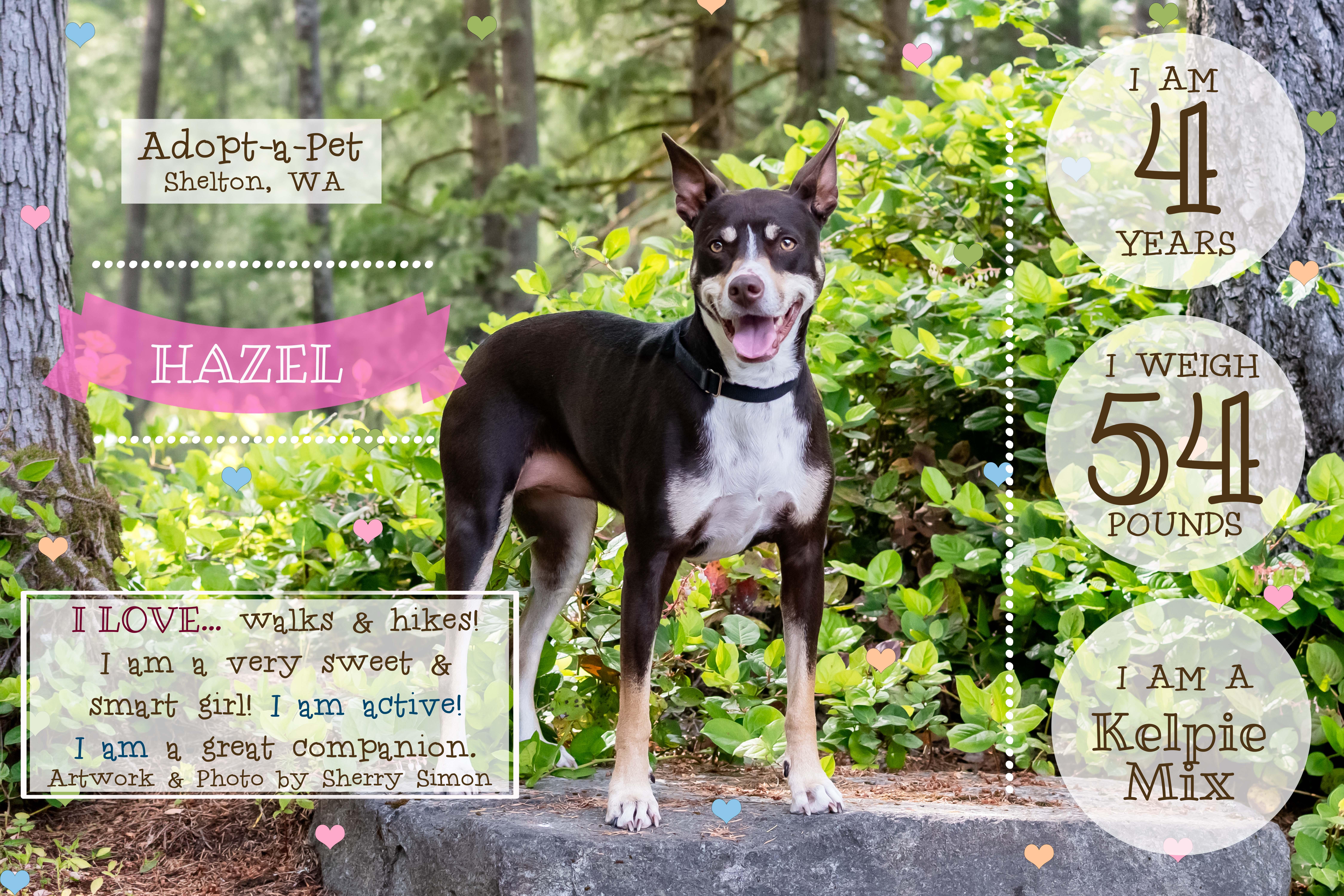 Hazel thumbnail 5