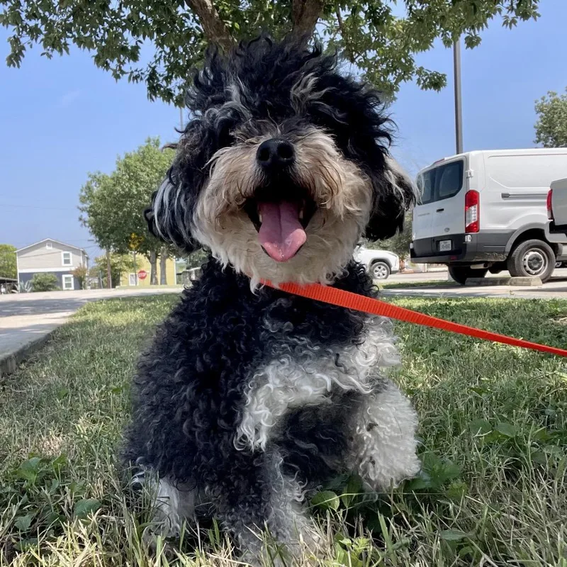 Zoey thumbnail 2