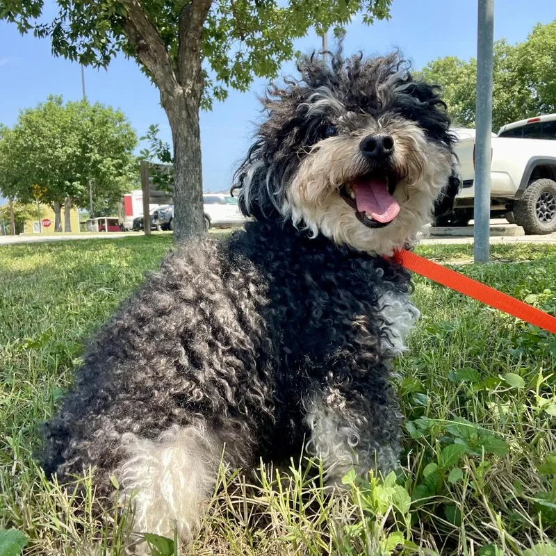 Zoey thumbnail 3