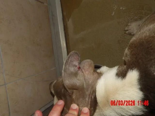 Lillyanne thumbnail 2