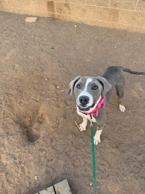 Lillyanne thumbnail 3