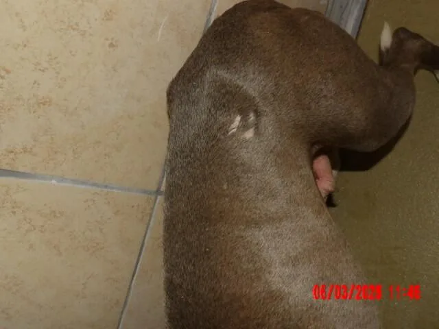 Lillyanne thumbnail 4