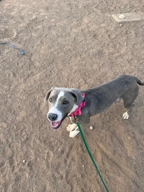 Lillyanne thumbnail 5