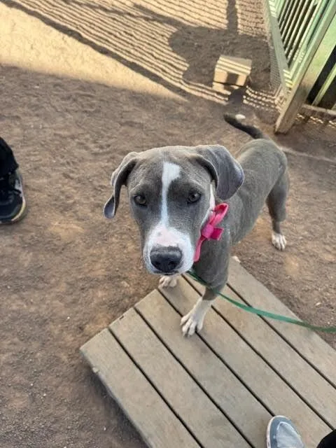 Lillyanne thumbnail 6