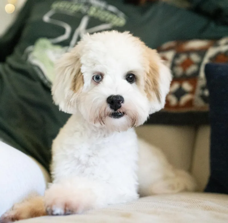 Zoey thumbnail 5
