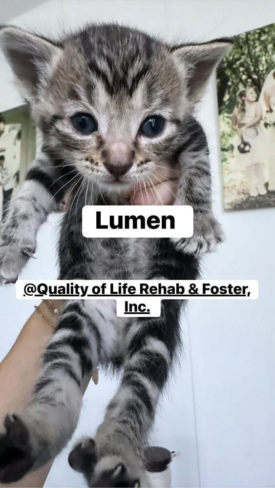 Lumen