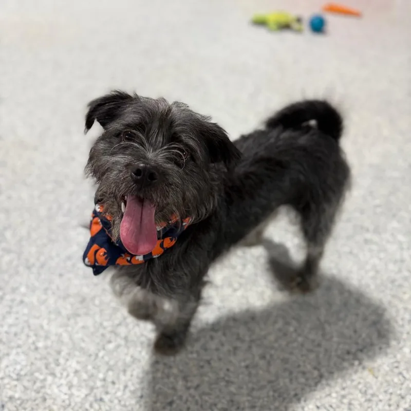 Zack thumbnail 4