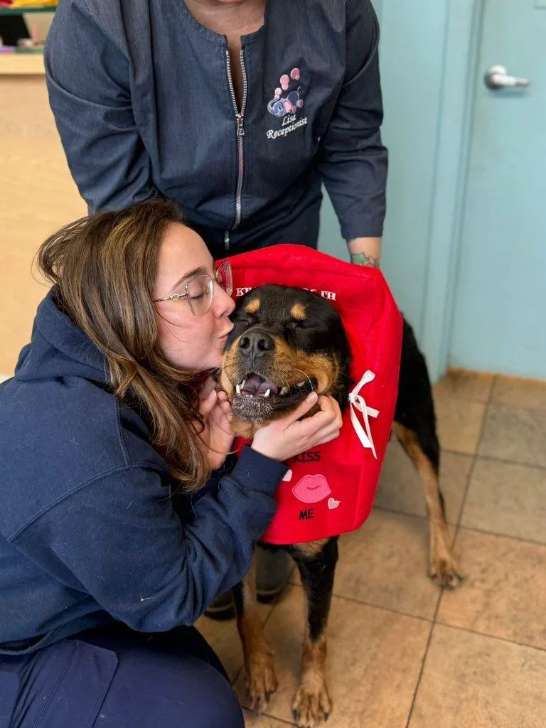 Rocky The Charmer thumbnail 2