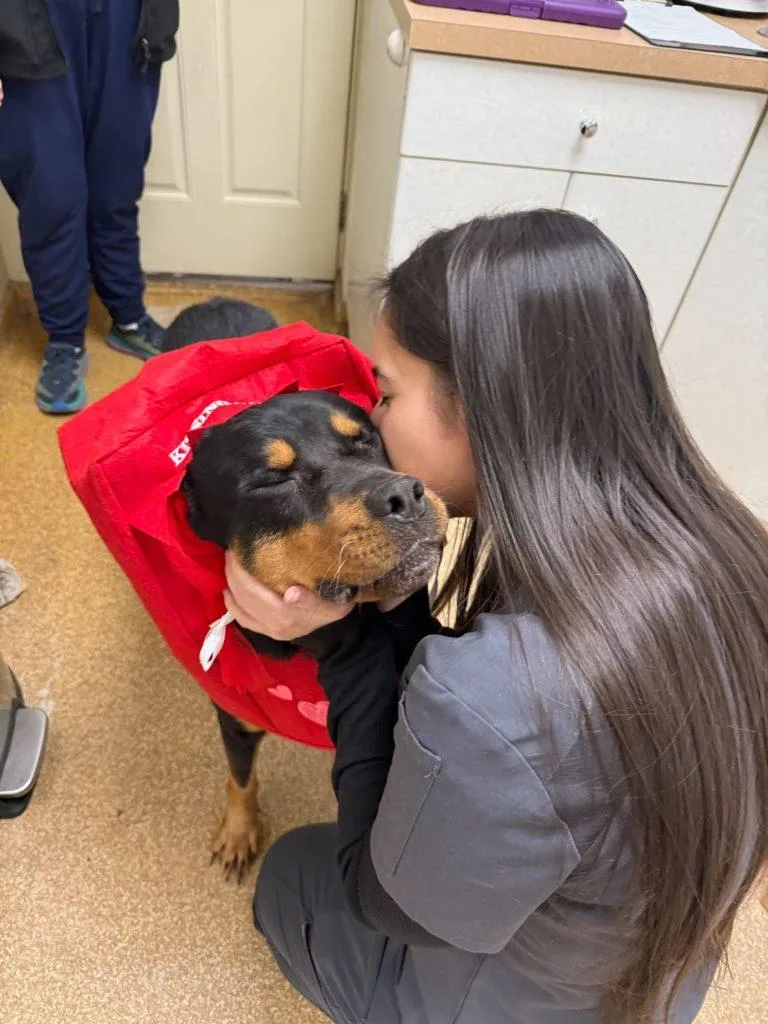 Rocky The Charmer thumbnail 3