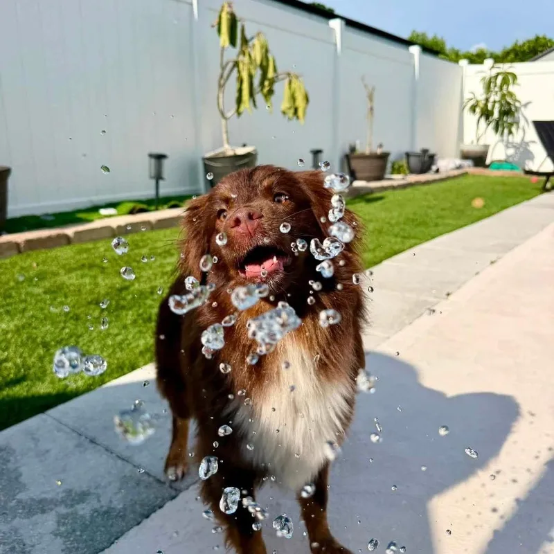 Coco thumbnail 2