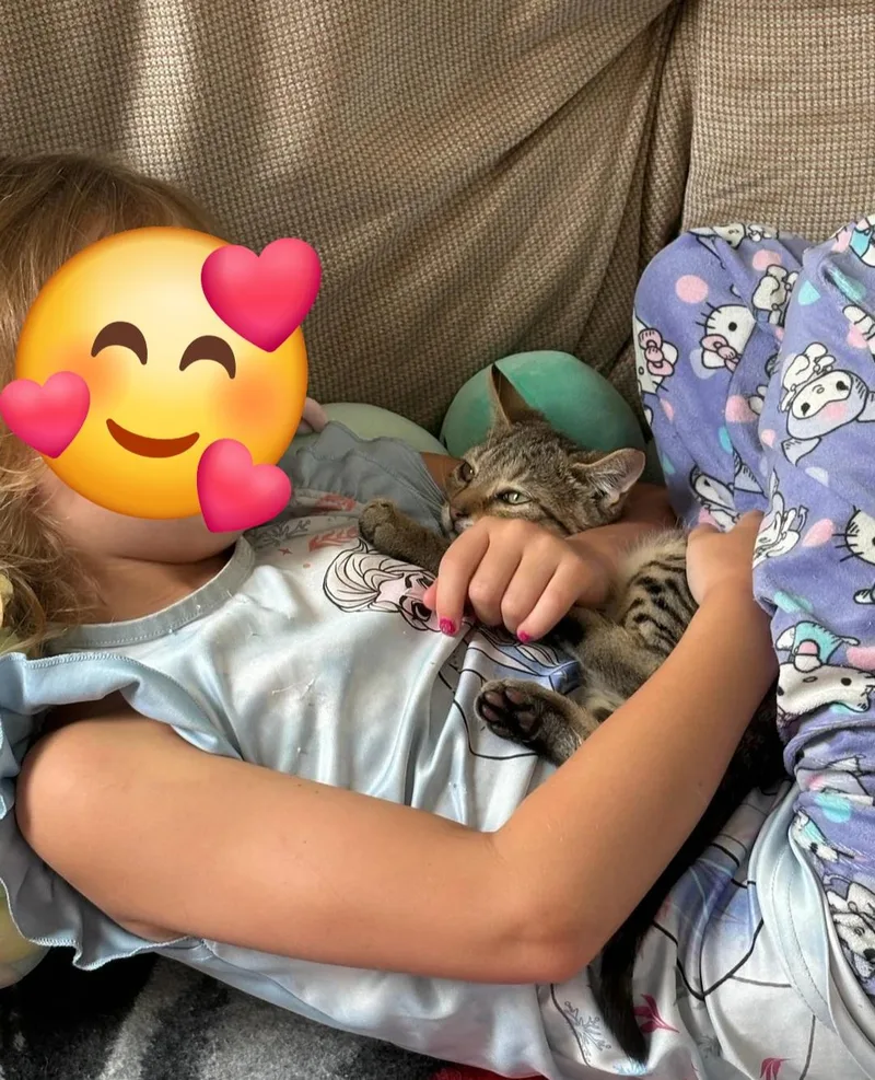 Starlight and Teddy thumbnail 2