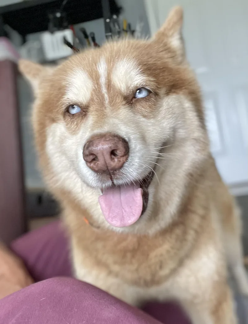 Sierra