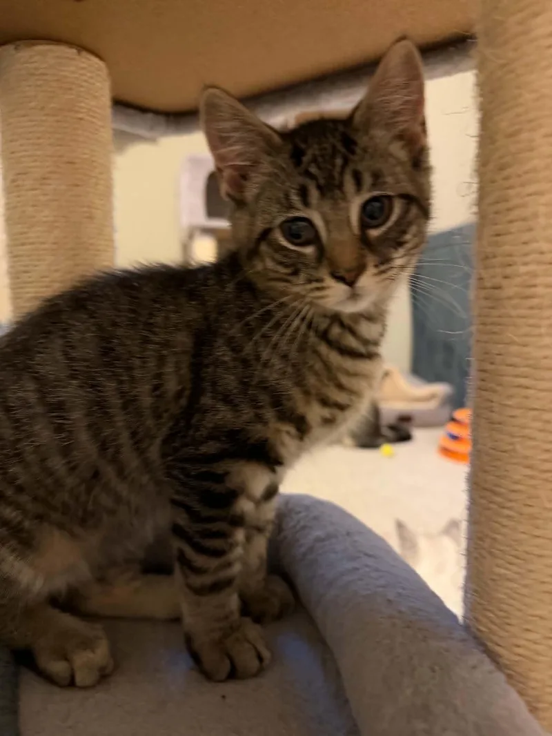 Suzie thumbnail 3