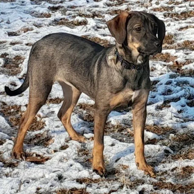 Autumn G thumbnail 2